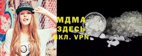 хмурый Аркадак