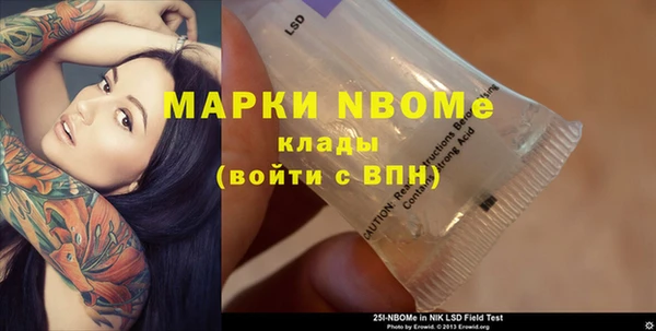 молекула духа Арсеньев