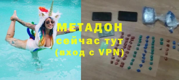 хмурый Аркадак