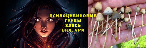 молекула духа Арсеньев