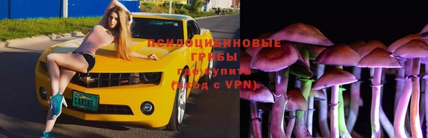 молекула духа Арсеньев