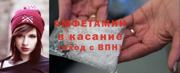 молекула духа Арсеньев