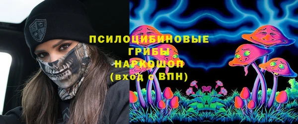 молекула духа Арсеньев