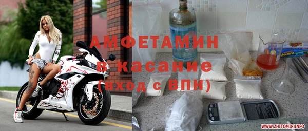хмурый Аркадак