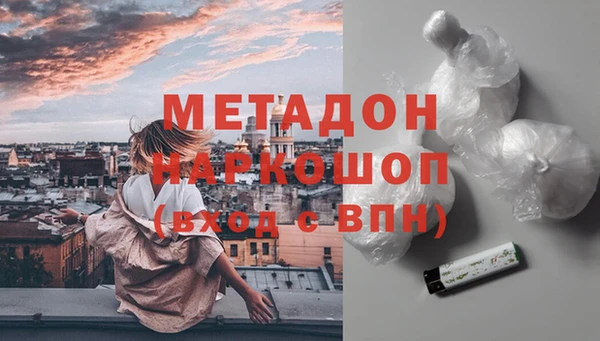 хмурый Аркадак