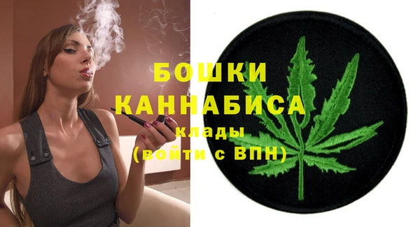 хмурый Аркадак