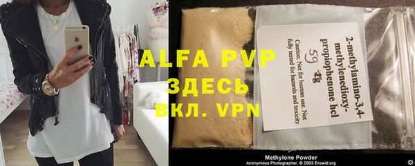хмурый Аркадак