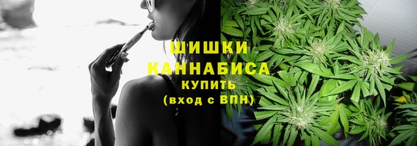 хмурый Аркадак